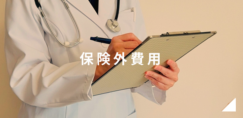 保険外費用